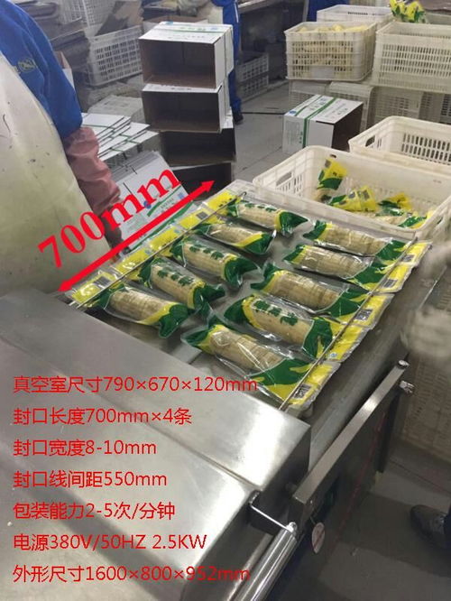 龙邦食品机械 在线咨询 豆制品包装机 豆制品包装机厂家