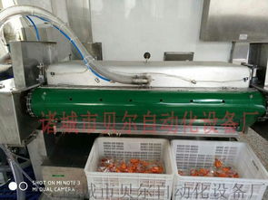 厂家直销滚动式食品真空包装机,休闲食品包装机械